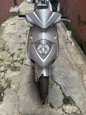 Honda 2006 Gray