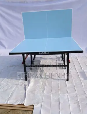 Outdoor Table Tennis