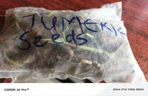 Tumeric Seeds
