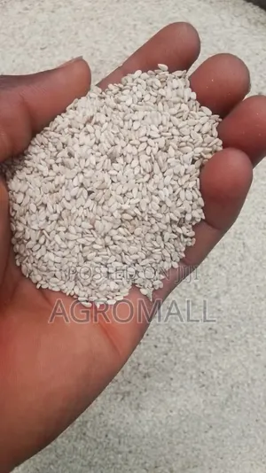 Sesame Seed_1kg