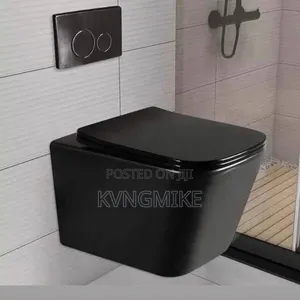 Wall Hung/Concealed Wc