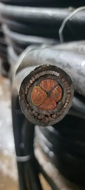 4x50mm Armored Nigerchin Cable