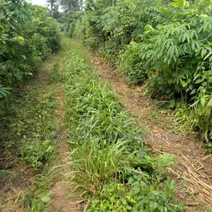 Farm Land Sales