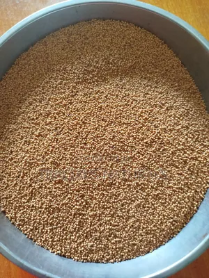 Yellow Mustard Seeds 100g