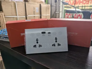 Wifi Double Smart Socket