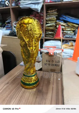 Fifa World Cup Trophy 1
