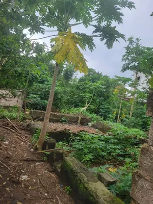 Full Plots of Land at Onibeji Ayobo Lagos
