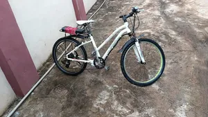 Electric Bicycle