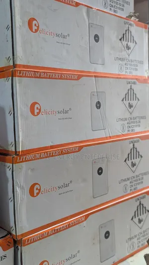 Felicitysolar 5kwh 51.2v Lithium Iron Phosphate Battery(Fla48100)