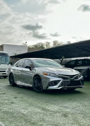 Toyota Camry 2021 Gray