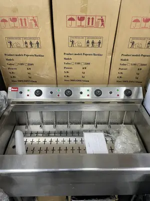 Electric Fryer