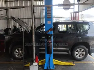 Professional Auto Spa Wheel Care Experts