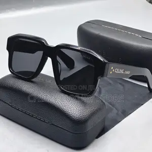 Celine Quality Luxury Men Sunglasses