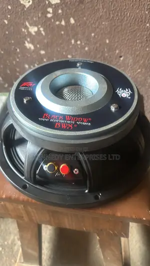 BWX 12 Inch Naked Speaker (100 Coil)