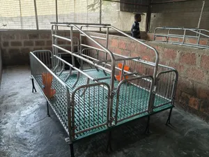 Farrowing Crates - Double Sow/Single