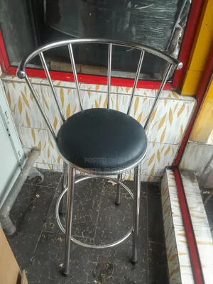 Stainlesss Steel Frame High- Backrest Stool for Bars/Kitchens
