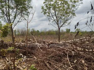 4000 Acres of Fertile Farmland at Ijio Town, Iwajowa Lg, Oyo State
