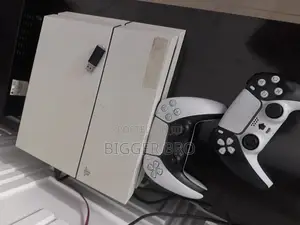 Play Station 4 (PS4)