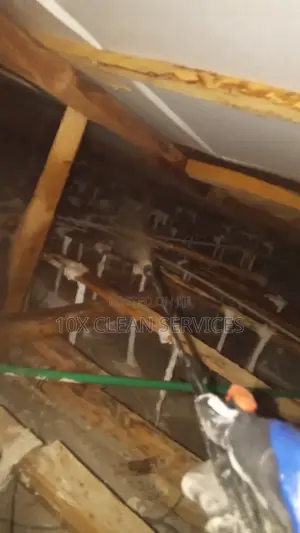 Roof Fumigation Against Termites, Snakes Rodents.Protect Ur Building