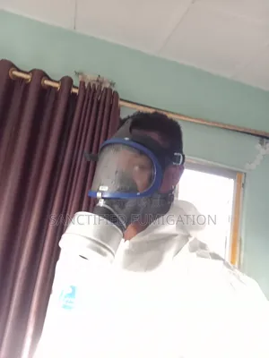 Organic Bedbug Infestation Treatment