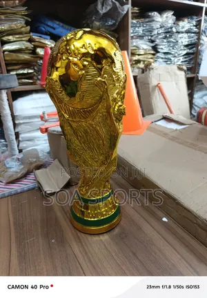 Fifa World Cup Replica 2