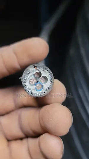 6mmx4core Armored Cable Nigerchin