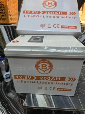 Lifepo4 Lithium Iron Phosphate Battery 4s1p 12v 100ah Built-in BMS