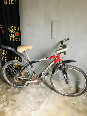 A Fairly Used Bicycle