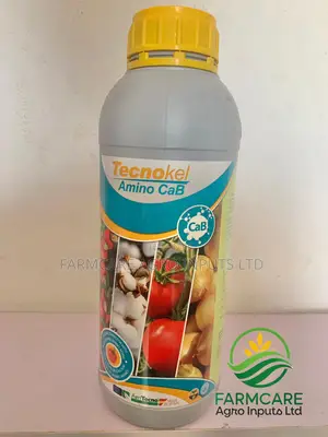 Tecnokel Amino Cab – Boost Fruit Quality Yield