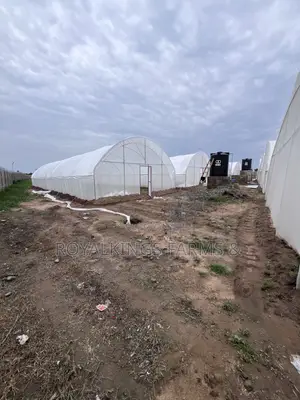 Greenhouse Installations