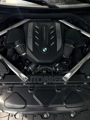 BMW X6 2021 Gray