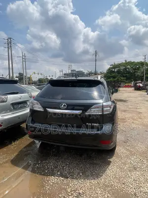 Lexus RX 2010 Gray