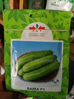 Saira F1 Cucumber Seeds