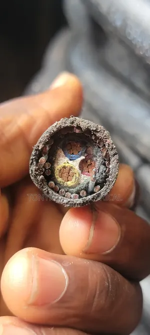 16mmx3core Armored Cable (Coleman Wire)