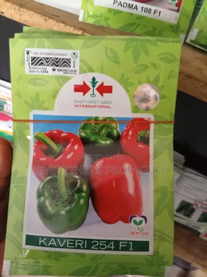 Kaveri F1 Bell Pepper