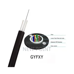 2-Core Non-Metallic Fiber Optic Cable Is a Fully Dielectric #170