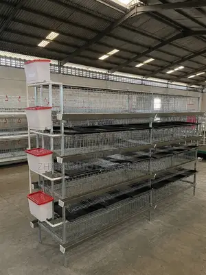 H-Type 4-Tier, Layer Battery Cage