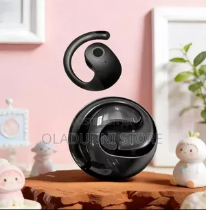 Wireless Bt Translation Earbuds