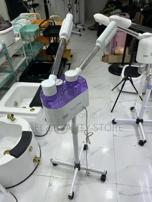 2 In 1 Facial Steamer