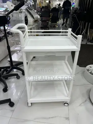 Multipurpose Plastic Trolley