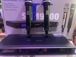 Professional Wireless Microphone