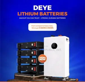 Deye 16kwh (Se-F16-C) - Lithium Ion Battery