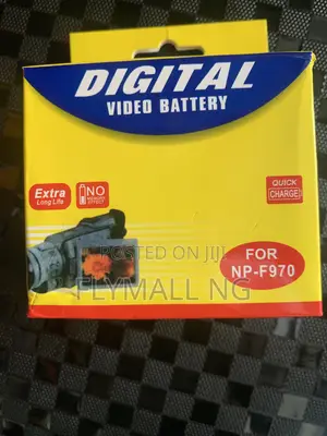 Digital Video Battery Np-F970