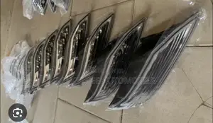 Original Bumper Pointer Gx460 2014 to 2022