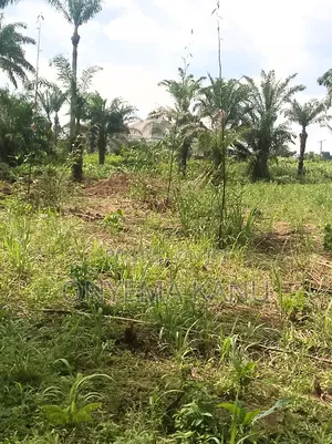 60 Plots for Industrial, Agricultural Use.