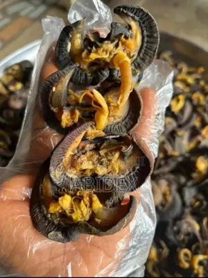 Dried Snail