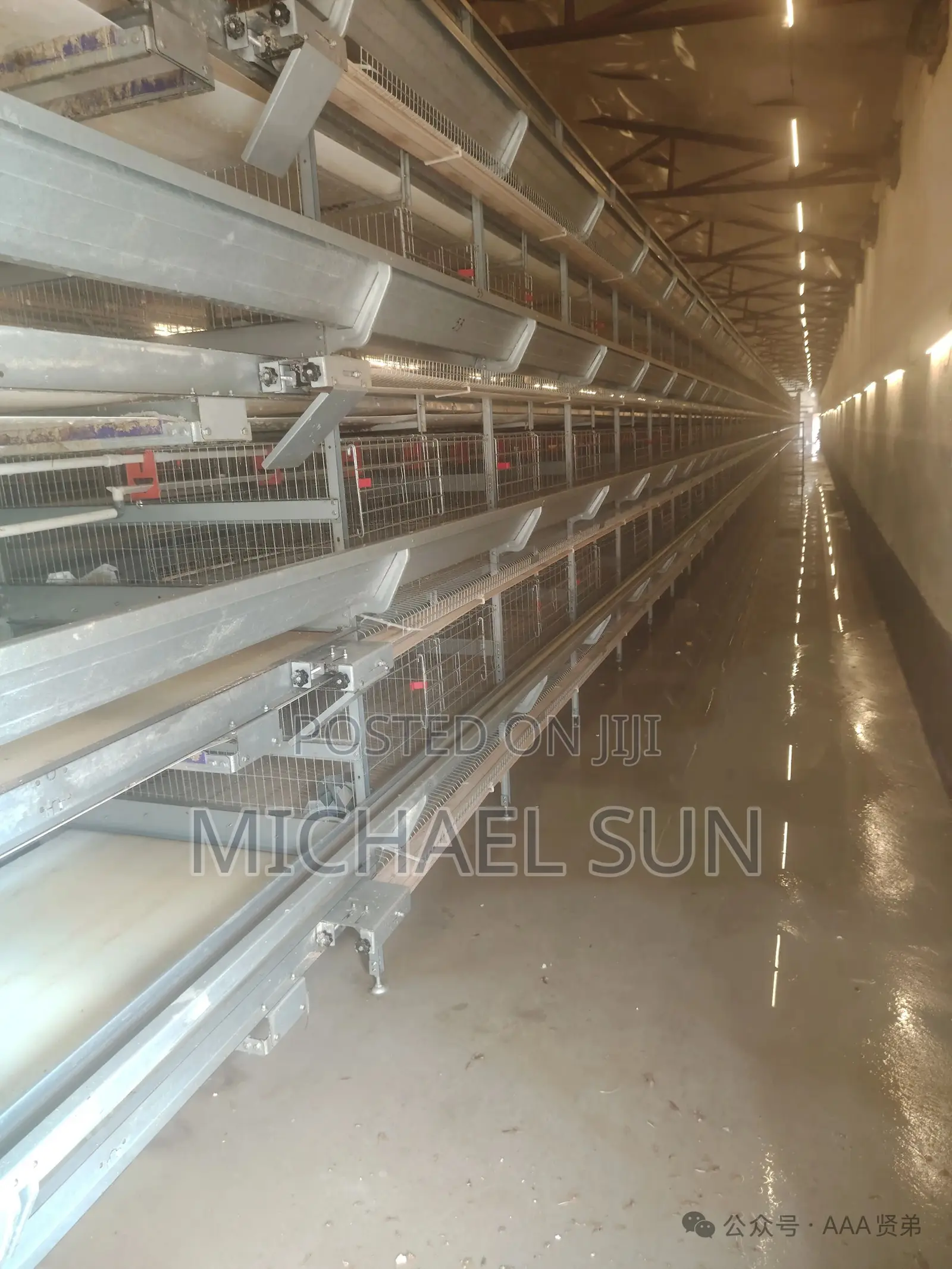 Automatic Battery Cages For Layer Poultry Cages