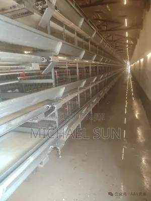 Automatic Battery Cages For Layer Poultry Cages