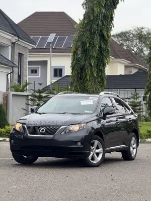 Lexus RX 2010 Gray
