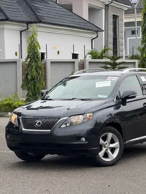 Lexus RX 2010 Gray